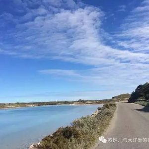 WHV游记｜一起去Rottnest Island吧,如果你也喜欢微笑袋鼠！