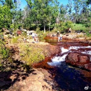 生活经验｜初到土澳北境——达尔文