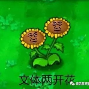 看起来很美？悉尼鲜花厂高薪工作攻略