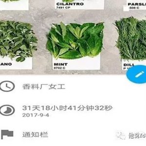 香料厂上班是种什么体验？可能是香(累)的昏古七吧...