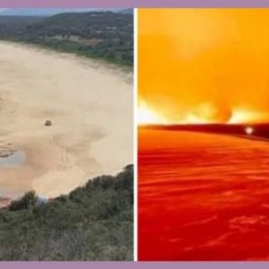 1000公里逃生路，澳洲山火灾区撤离纪实