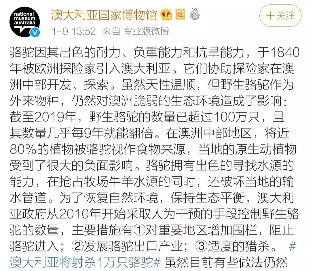 澳大利亚的山火，不是你想象的那个样子，但是你必须知道这些指南！