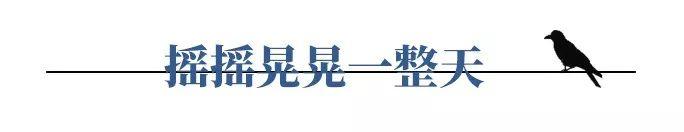 走！去纽村峡湾当船员，伴着海浪飘呀飘...