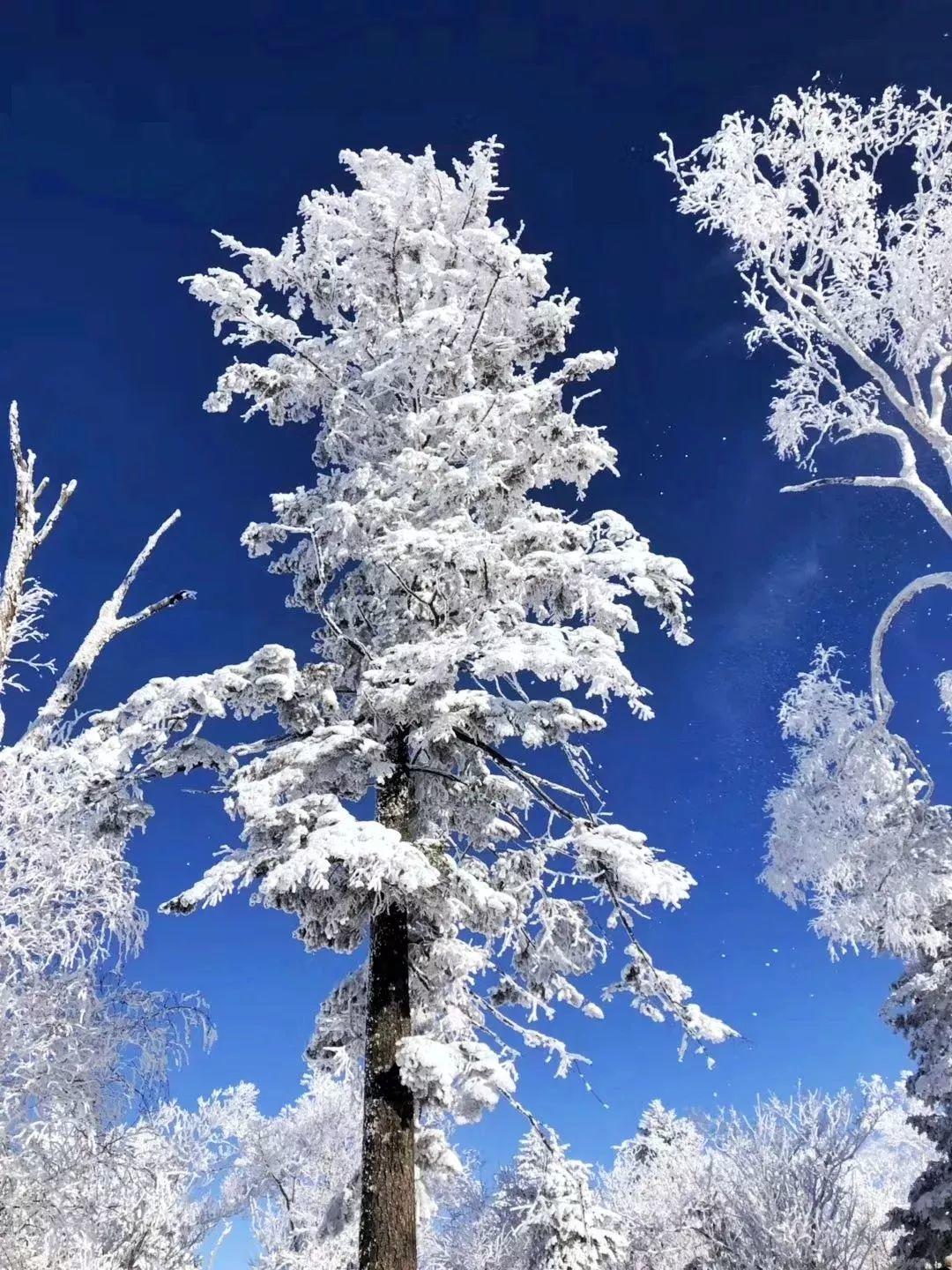 后背包客时代 | 我人生的第二场雪，在中国