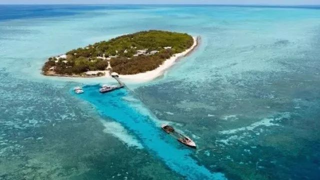 旅居海岛｜Heron Island（赫伦岛）