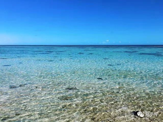 旅居海岛｜Heron Island（赫伦岛）