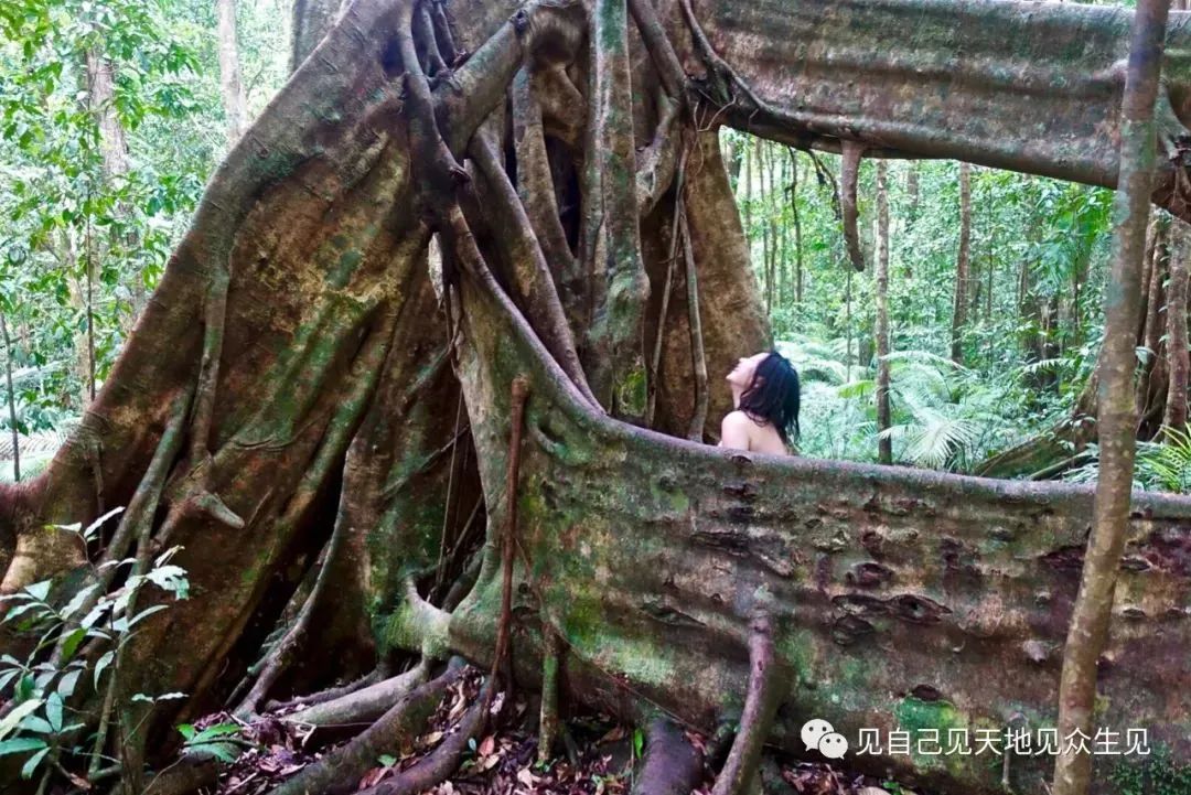 澳洲道格拉斯港工作和旅居一帖通(上）