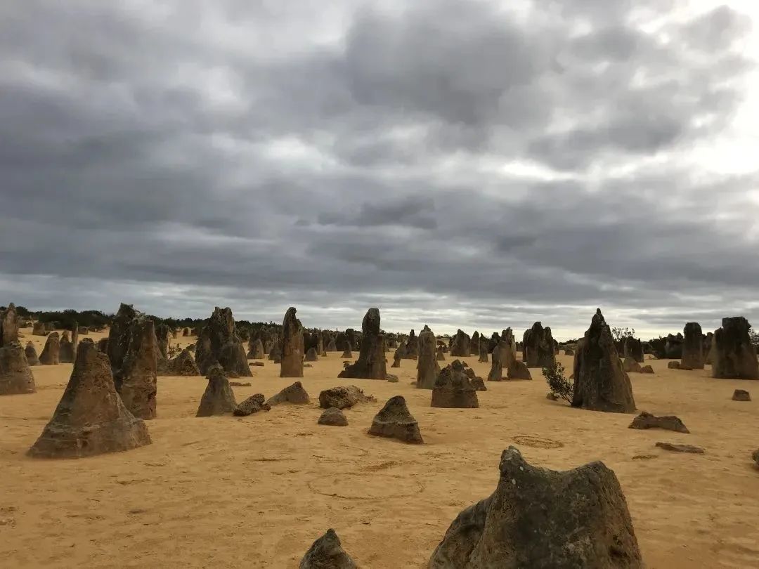 澳洲西部，沙漠和大海组成的疯狂旅行
