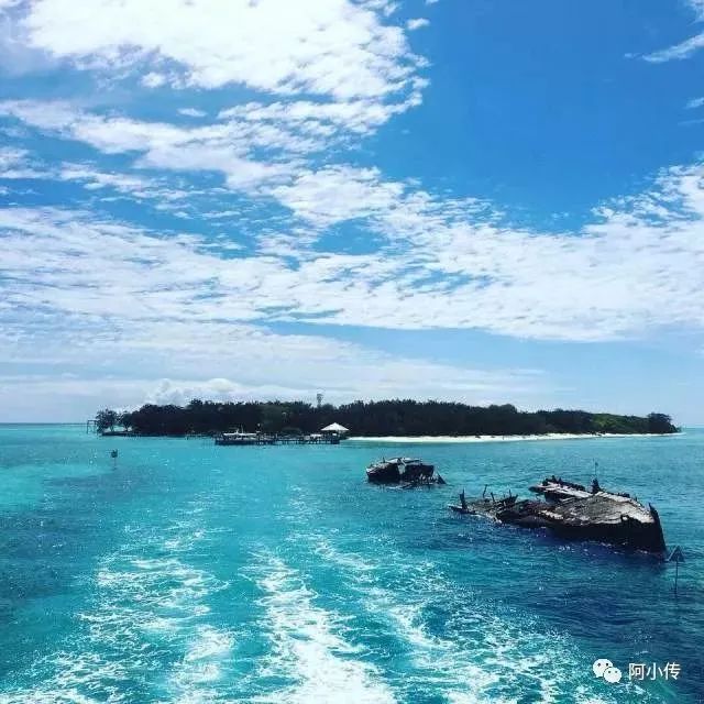 旅居海岛｜Heron Island（赫伦岛）