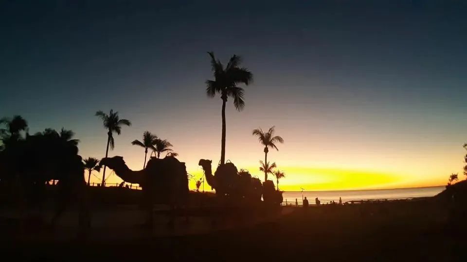 澳洲西部，沙漠和大海组成的疯狂旅行