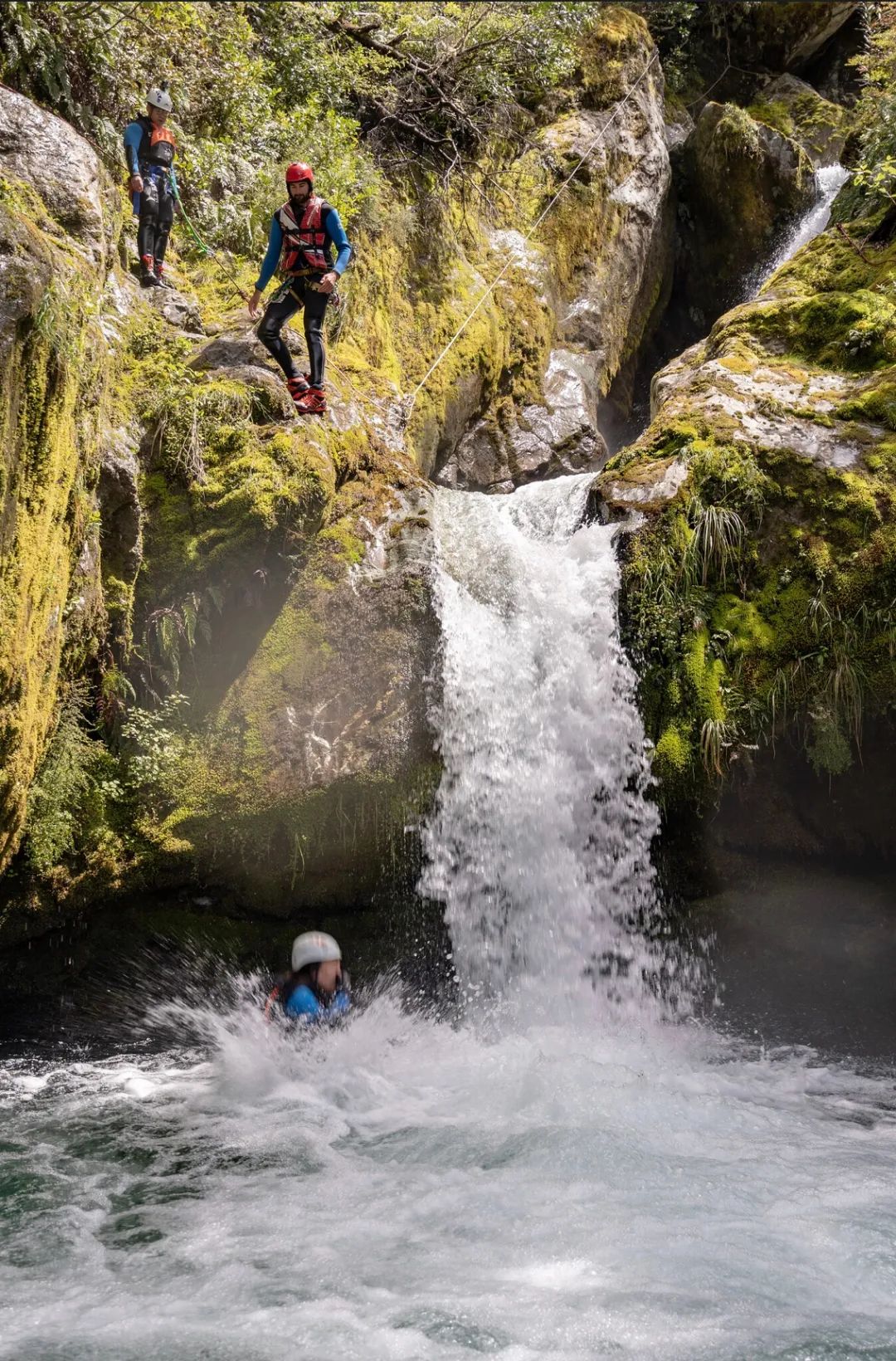 在联合国自然遗产里飞檐走壁 | 路特本雨林溪降Canyoning