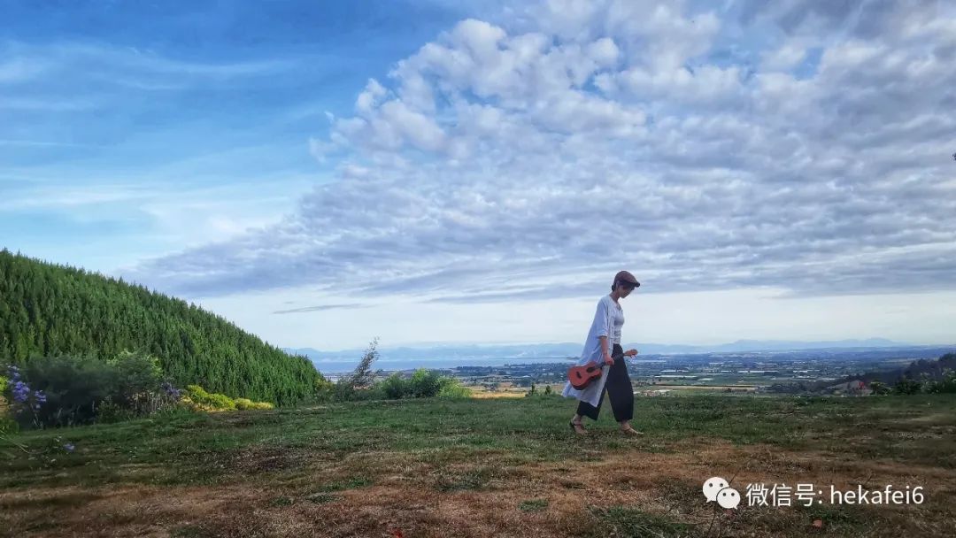 十级无聊挑战：一天看12小时的苹果