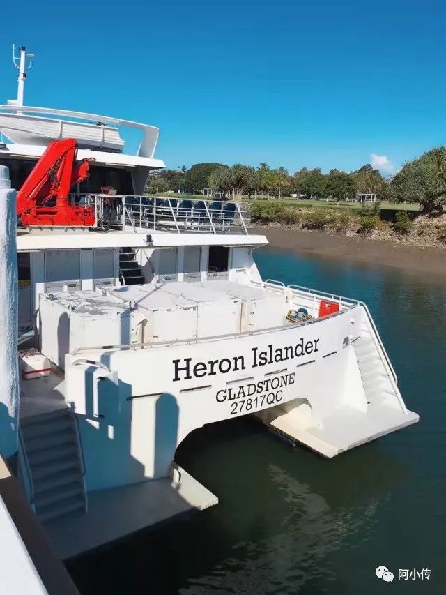 旅居海岛｜Heron Island（赫伦岛）