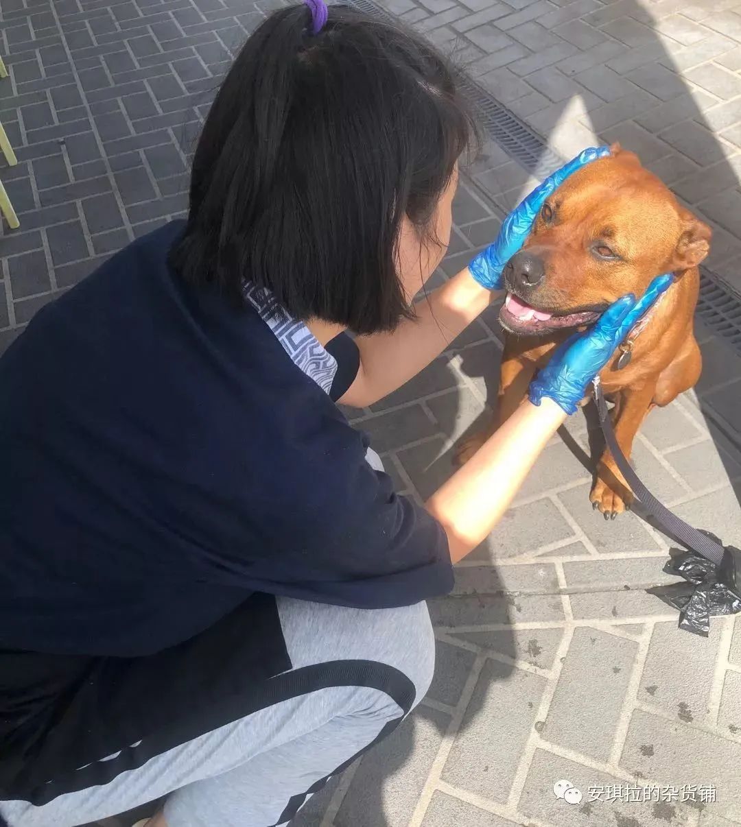 在南半球当后厨，很累！但却简单又纯粹...