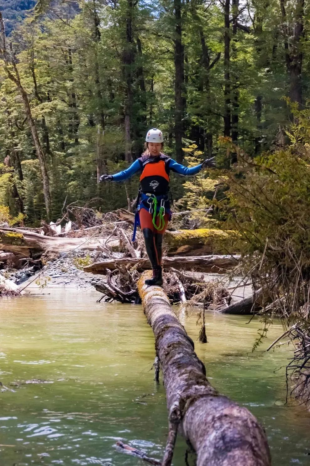 在联合国自然遗产里飞檐走壁 | 路特本雨林溪降Canyoning