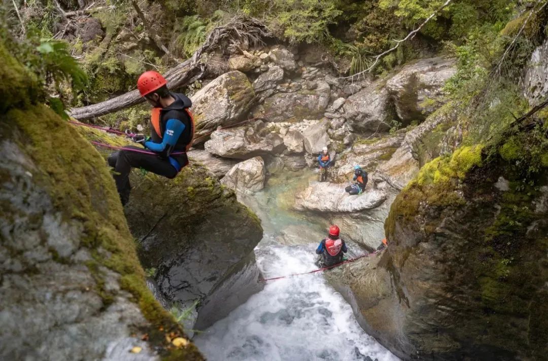 在联合国自然遗产里飞檐走壁 | 路特本雨林溪降Canyoning