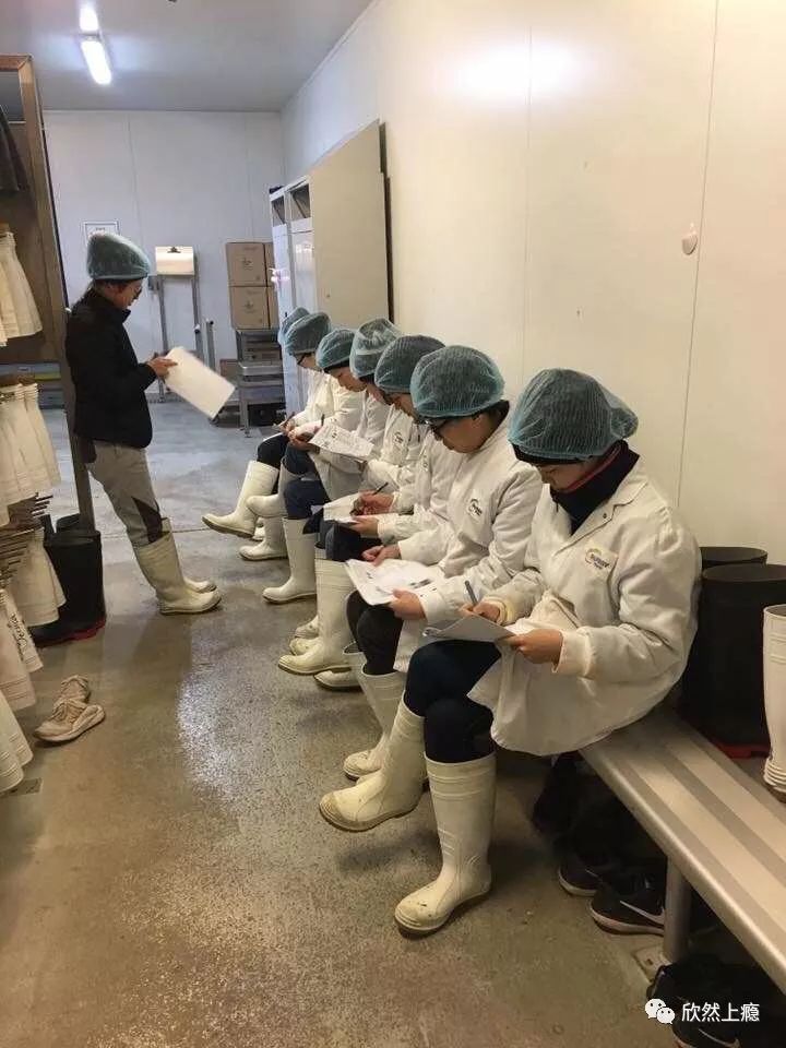 九个月Grace澳洲打工度假赚了多少钱？