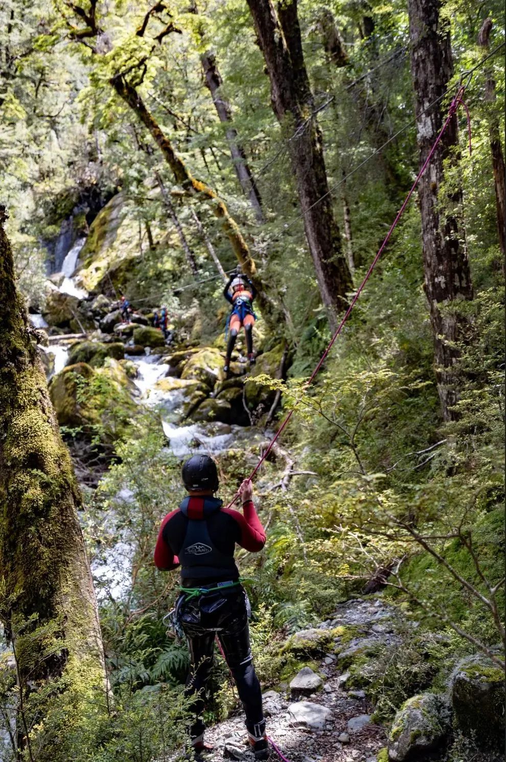 在联合国自然遗产里飞檐走壁 | 路特本雨林溪降Canyoning