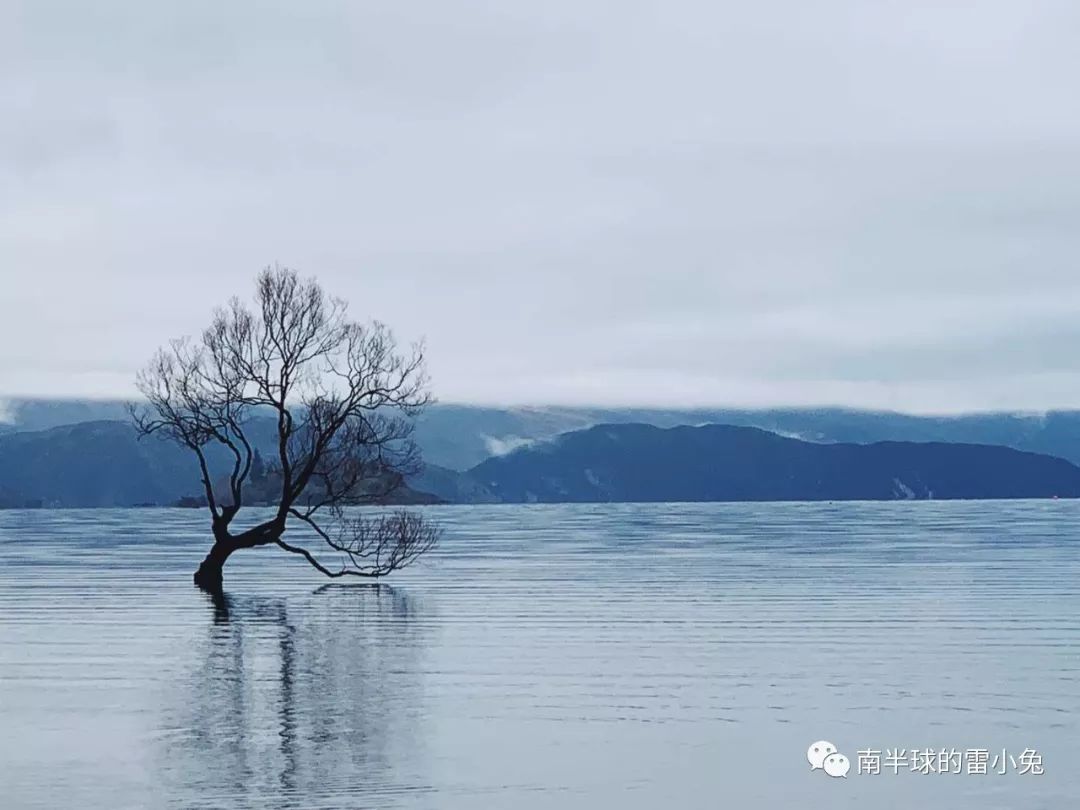 新西南南岛 | 请收下这份诚意满满的流水账