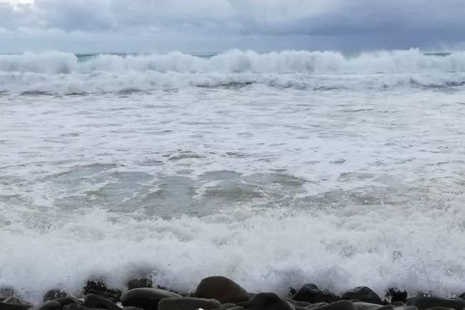 风筝有风，海豚有海