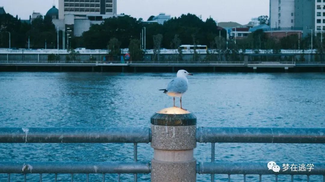 昨日之城 | Brisbane