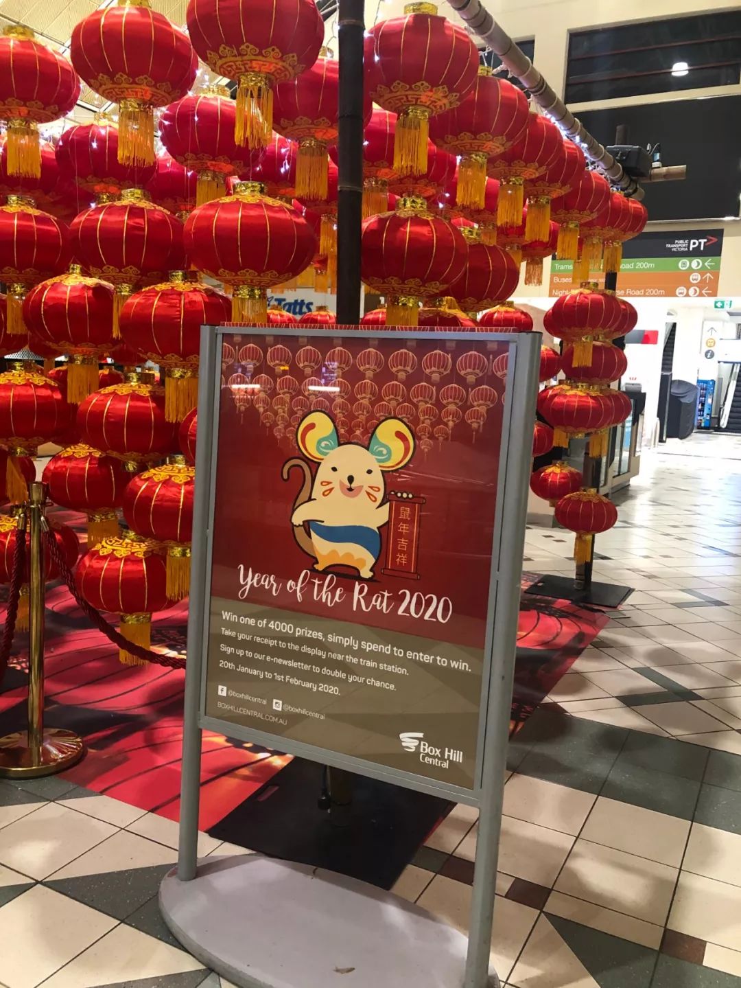 (补)第12周：最孤单的除夕