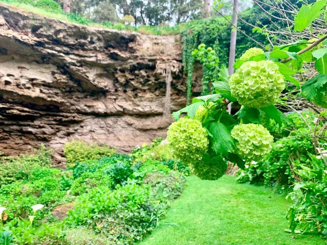 墨尔本——阿德莱德：澳洲打工旅行之租车自驾