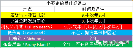 嘤嘤嘤～澳洲的动物咋都这么萌萌哒？