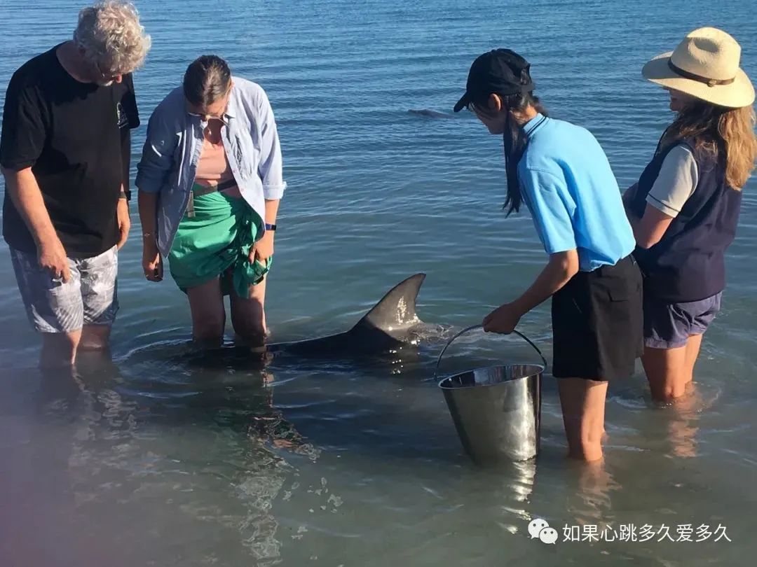 看海是海，看海不是海，看海还是海。