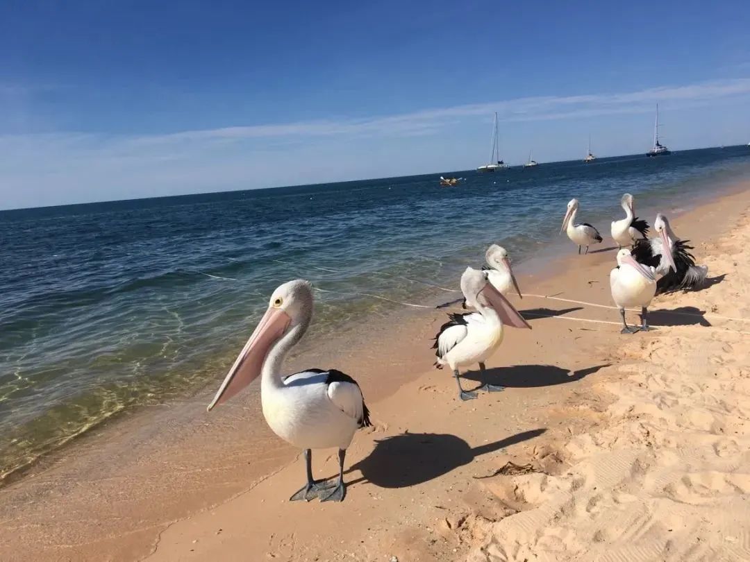 看海是海，看海不是海，看海还是海。