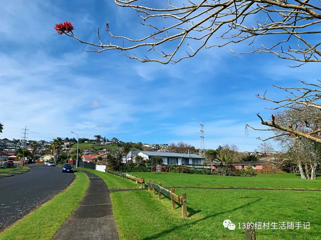再见，Flat Bush