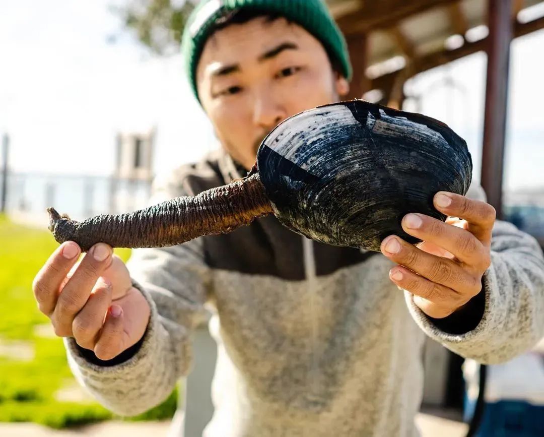 无法在海里肆意撒欢，那就看up主赶海吧！