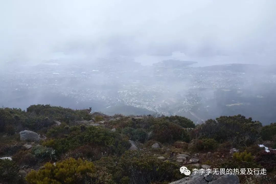 澳洲最南端-环游塔斯马尼亚小岛