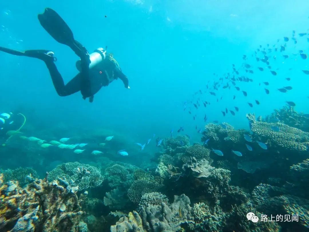 浮潜看珊瑚海，悠闲好去处Coral Bay