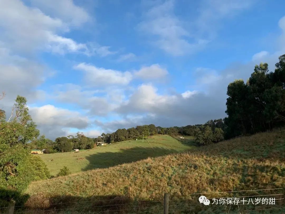 墨尔本周边三小时车程的好玩地方