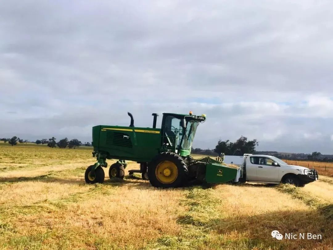 Australia Hay season饲草收割季