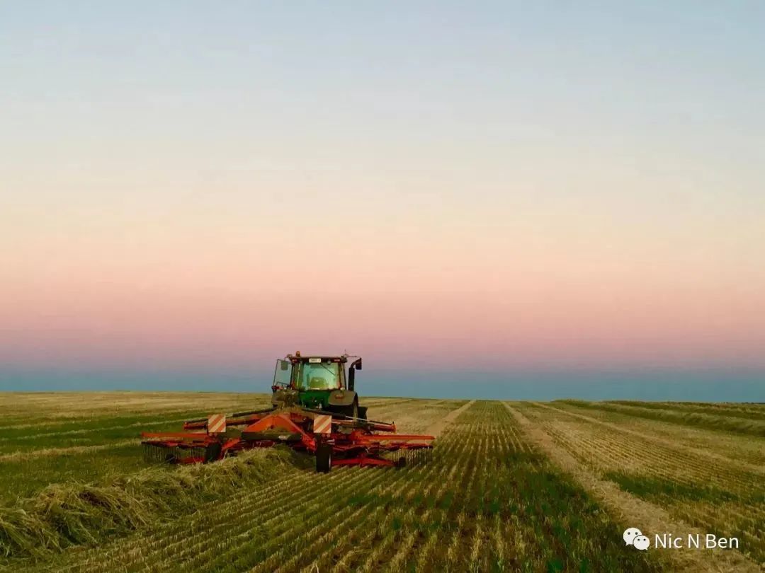 Australia Hay season饲草收割季