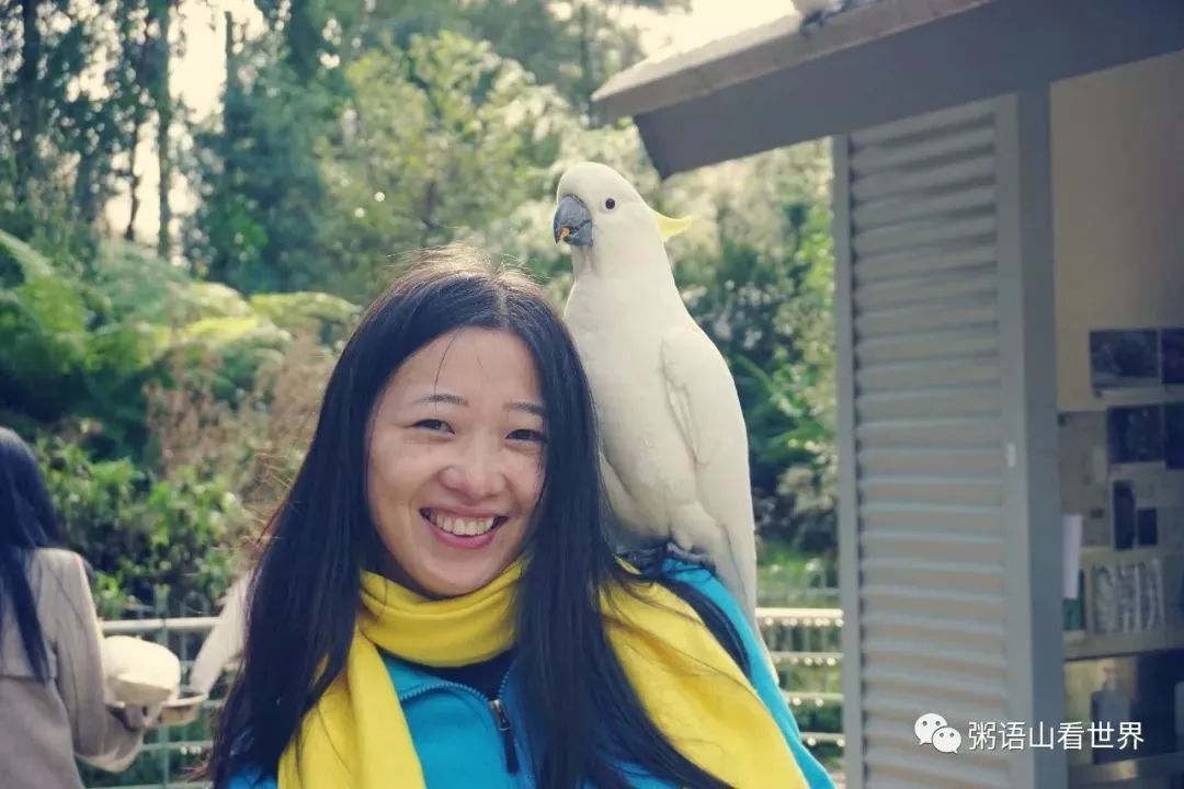 初到墨村，不预习功课真的能熬过三天？