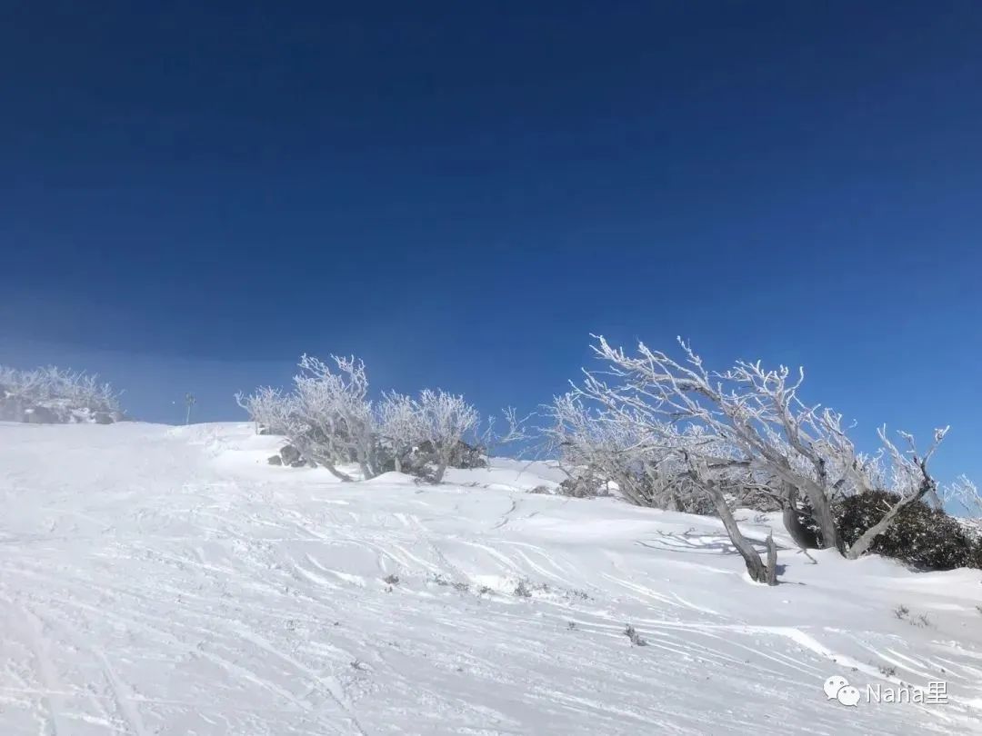 一遇雪山“误”终生