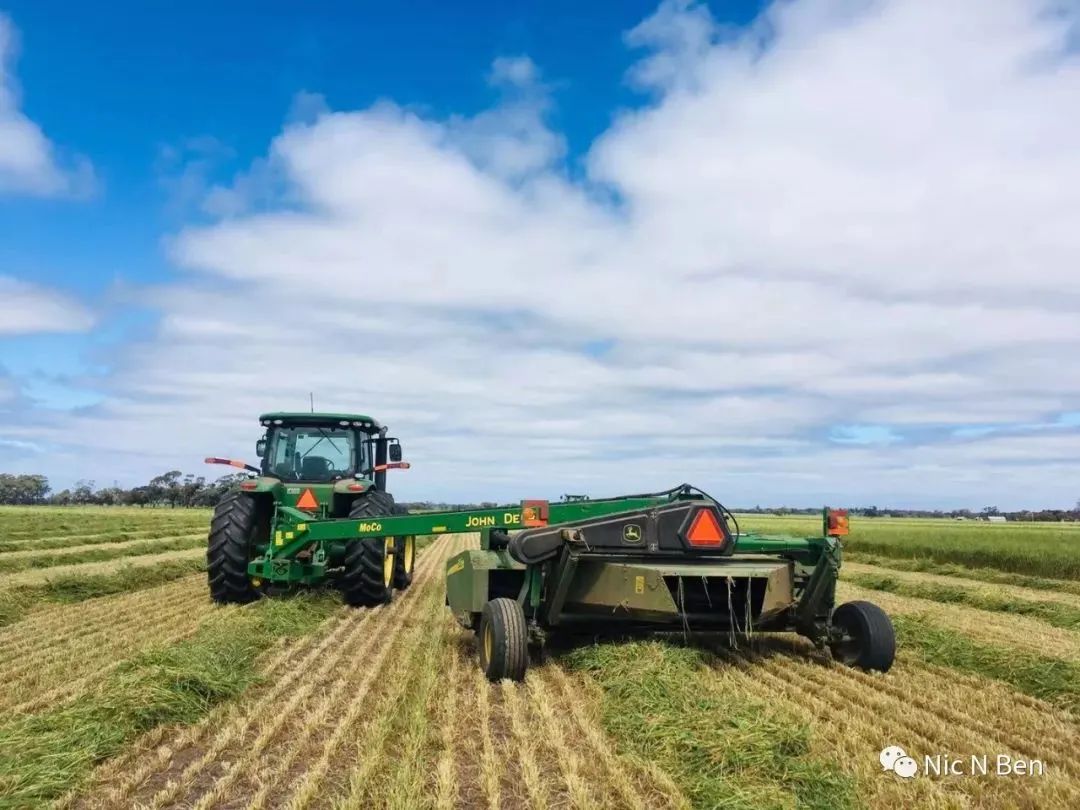 Australia Hay season饲草收割季