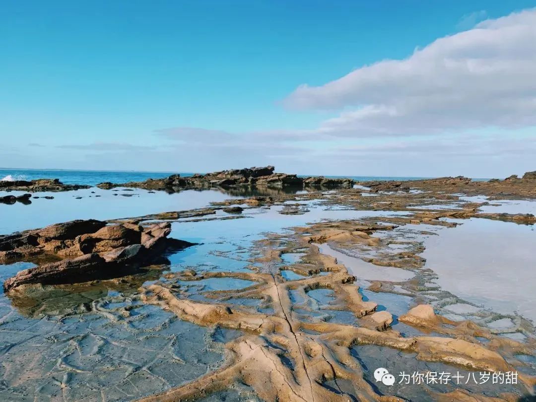 墨尔本周边三小时车程的好玩地方