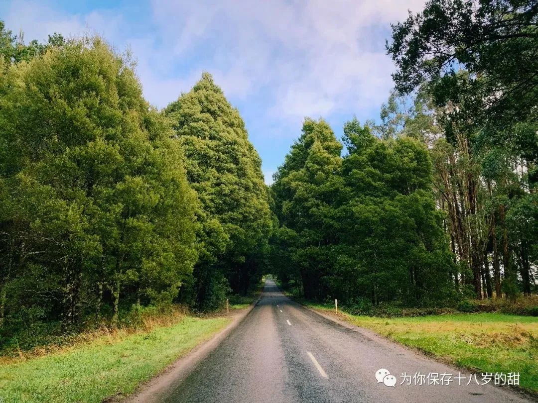 墨尔本周边三小时车程的好玩地方