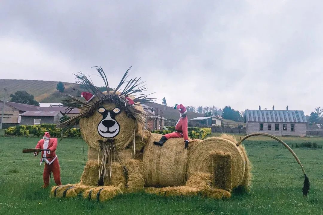 塔斯马尼亚 | 世界尽头那颗绿色的心，是我念念不忘的风景