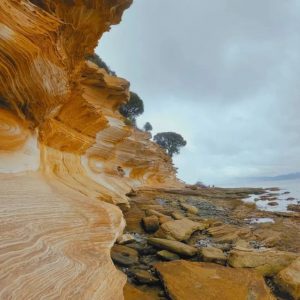 塔斯马尼亚 无人岛上的狂欢｜Maria Island