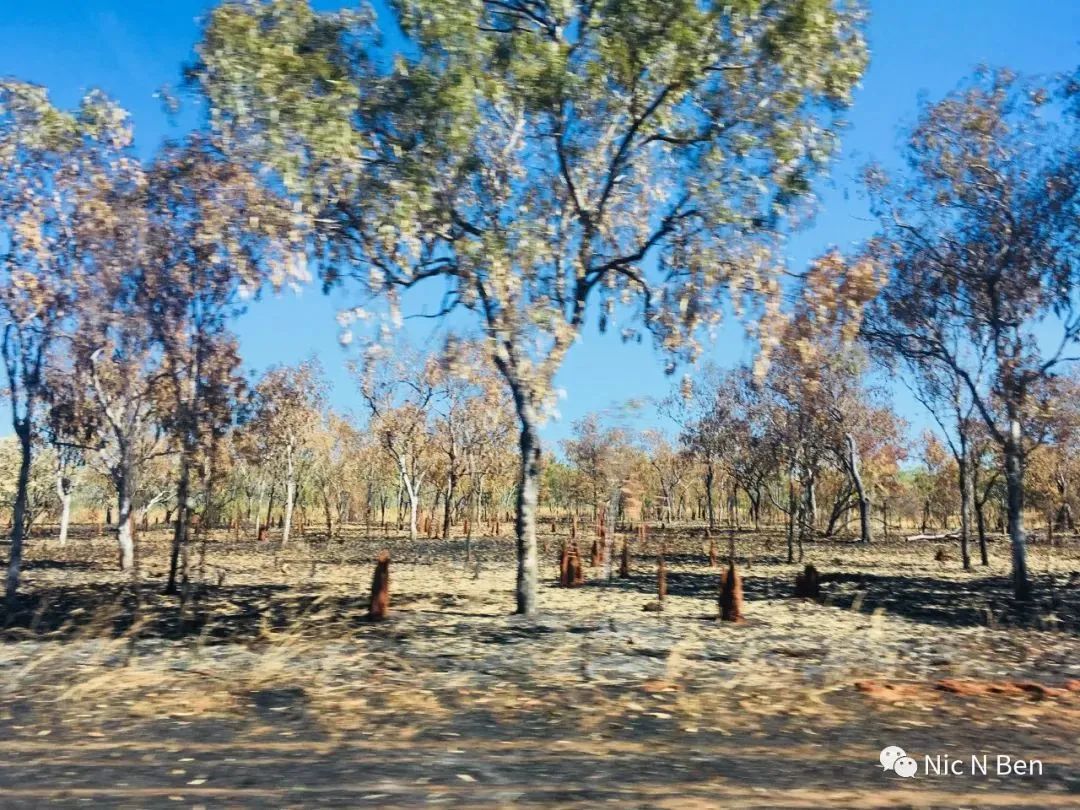 纵贯澳洲大陆中心，3065KM,87号公路，Adelaide to Darwin