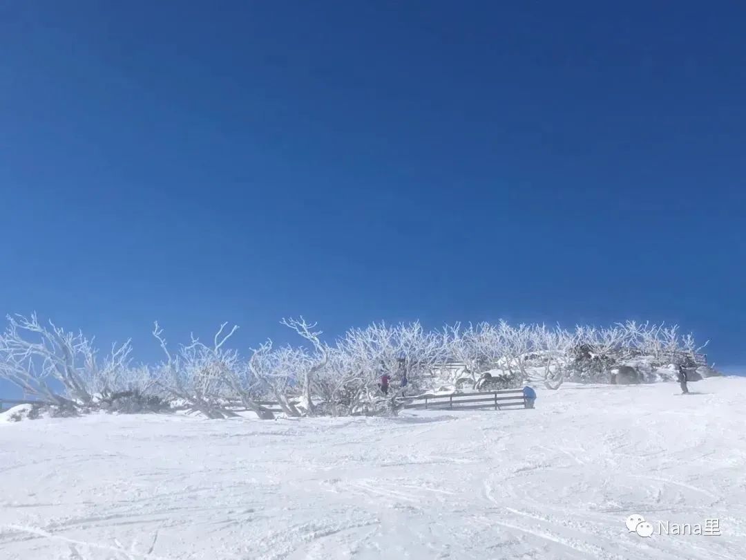 一遇雪山“误”终生