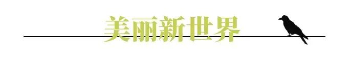 封锁期间游客人数为0的国家公园，宁静的30天...