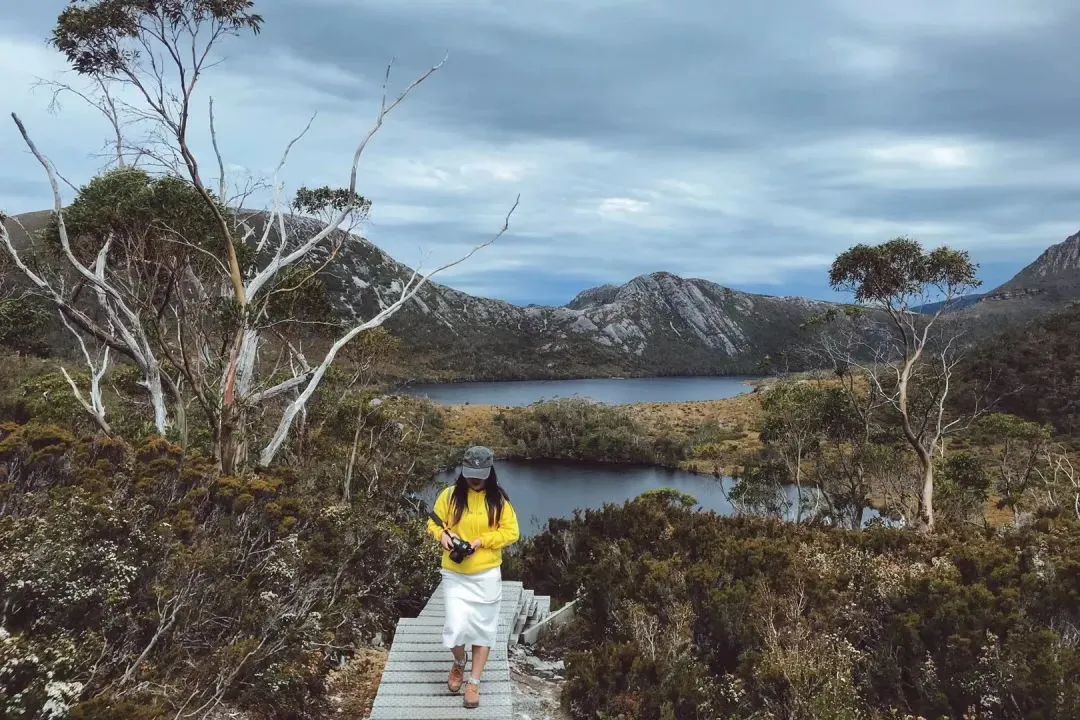 塔斯马尼亚 | 世界尽头那颗绿色的心，是我念念不忘的风景