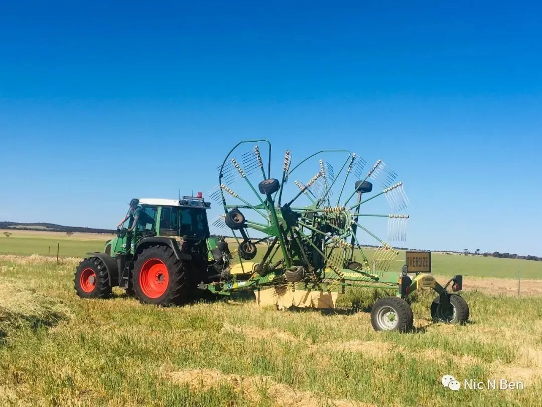 Australia Hay season饲草收割季