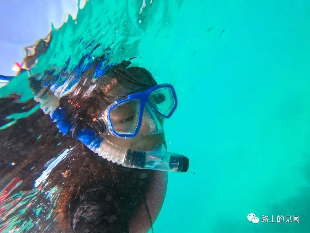 浮潜看珊瑚海，悠闲好去处Coral Bay